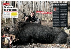 36 stone boar bagged