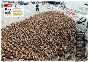 Duck walk