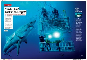 Great White cage