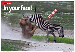 In your face!