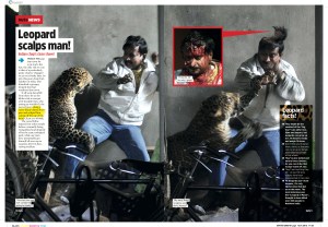 Leopard scalps man