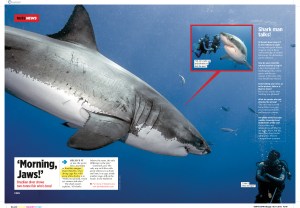 Morning Jaws!