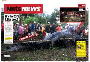 Village captures croc