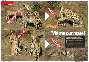 We ate our mate