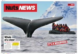 Whale of a view